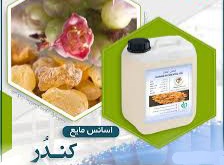 خرید و قیمت اسانس کندر+فله+عمده+خواص و توضیحات